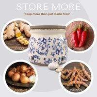Pot à ail en terre cuite, récipient en céramique pour le stockage de l'ail, bol de conservation pour comptoir de cuisine