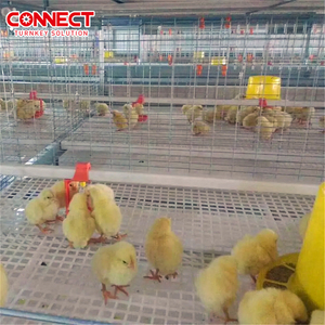 Sistema de Jaulas en Batería Tipo H para 50000 Aves de Corral, Alimentación Automática para Pollos de Engorde, Línea de Cría a Gran Escala - Product Image 2