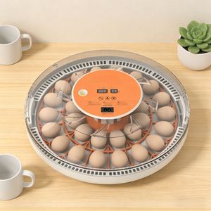 Incubateur automatique pour 30 œufs, contrôle numérique de la température et de <span class=keywords><strong>l</strong></span>'humidité, machine d'éclosion des œufs de volaille pour poulets, canards, cailles - Product Image 2