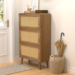 DB ชั้นวางรองเท้าแบบพับได้ทันสมัยชั้นวางของพลาสติกสำหรับเฟอร์นิเจอร์ห้องนั่งเล่นในบ้าน - Product Image 4