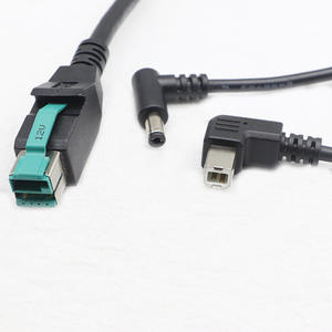 Kustom Pabrik 8Pin 12V daya USB jantan ke USB B jantan + DC5521 jantan 1 hingga 2 kabel pemisah - Product Image 2