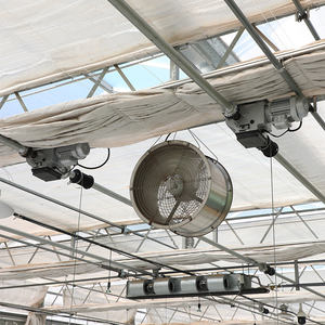 دفيئات نفقية زراعية متعددة الامتداد مستعملة دفيئات نفقية تجارية عالية - Product Image 4