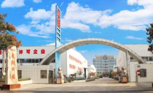 Trasduttore di Spostamento Lineare Miran KPC1H in Alluminio con Uscita Analogica e Linearietà dello 0,05% per Macchine da Imballaggio - Product Image 6