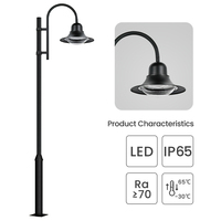 Lampe de jardin LED en aluminium 600W IP65 étanche lumière communautaire avec PC et corps en verre alimentation secteur 30W/600W alimentée en courant continu