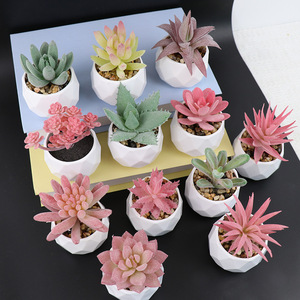 Mini Planta Suculenta Artificial en Maceta de Cerámica con Diamantes Multicolores, Decoración Verde para Mesa, Hogar, Regalo, Venta al por Mayor - Product Image 2