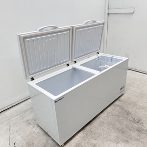 Congelatore a pozzetto da 260L con design compatto per esposizione di prodotti surgelati in piccoli negozi e boutique - Product Image 5