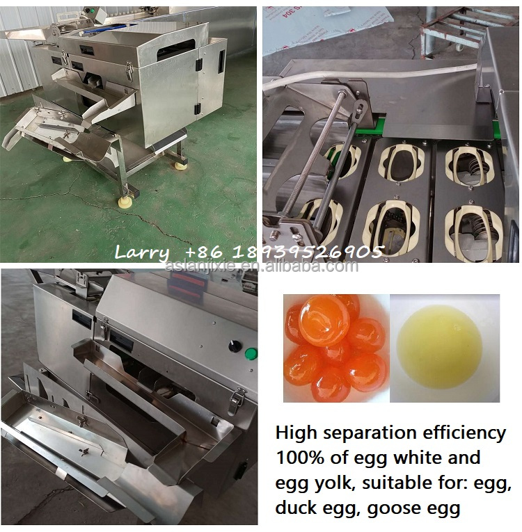 Thực phẩm cấp Trứng phá vỡ máy tách lòng đỏ trứng trắng Máy tách thép không gỉ Dây chuyền Làm rửa trứng