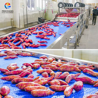 Ligne de traitement des légumes-racines (iris, pommes de terre, patates douces) de 1 à 3 tonnes/heure, avec machines de trempage, lavage, épluchage, tri et séchage à l'air, conception industrielle