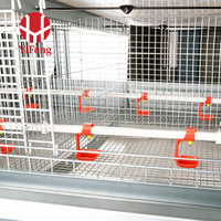 Cage à poulets de chair de type H, cage à batterie pour poulets de chair à 3 niveaux avec plancher en plastique à lattes, alimentation automatique, certifiée CE