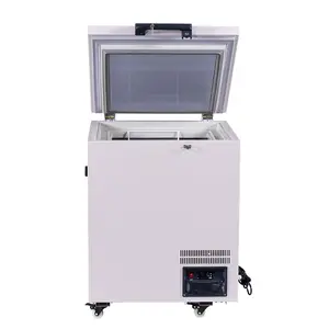 88L Direct Cooling System Medical Grade Small Chest -40c Deep Freezer Ultra Low Freezer