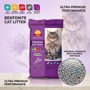 ทรายแมวเบนโทไนต์สีขาว ไม่มีฝุ่น ไม่มีกลิ่น จับตัวเป็นก้อนแข็งแรง - Product Image 1