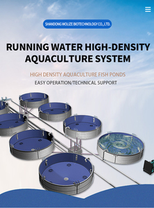 Chine Wolize Offre Spéciale l'aquaculture <span class=keywords><strong>à</strong></span> flux haute densité pour l'élevage de tilapia poisson-chat <span class=keywords><strong>truite</strong></span> arc-en-ciel - Product Image 6