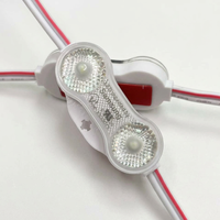 Module LED de haute qualité 0,8W 12V SMD2835 2 LED Lumineux et durable avec indice de protection IP67 pour enseignes LED Garantie de 5 ans