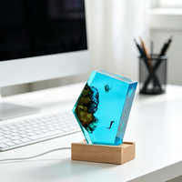Lampe de bureau artistique en résine époxy et bois, mini, avec scène de plongée tortue, filaire USB, à intensité variable, pour les amateurs de plongée, cadeau souvenir, vente en gros