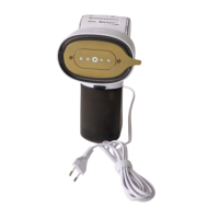 Défroisseur de tissus électrique multifonctionnel à chauffe rapide, portable pour le voyage, avec protection anti-brûlure à sec