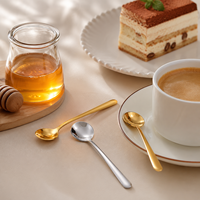 Mini-cuillère en acier inoxydable 304 or et argent pour café, sucre, sel, épices, poudre, dessert, assaisonnement