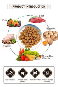 OEM al por mayor de alimentos secos para gatos sistemas inmunológicos palatabilidad orgánica alimentos para mascotas alimentos secos para gatos - Product Image 3