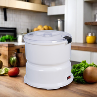 Hot Selling Huis & Keuken Elektrische Aardappelschiller Met Automatische Salade Spinner Draagbare Fruitprocessor Duurzaam Plastic Mes