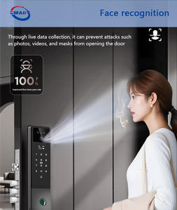 מנעול דלת חכם של טויה עם זיהוי פנים, זיהוי ורידי כף היד, סיסמה, טביעת אצבע, מצלמה ווידאו בזמן אמת - Product Image 5