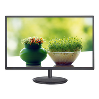 Nouveau Moniteur LED IPS FHD 22 Pouces pour Ordinateur de Bureau avec Haut-parleur Intégré Anti-Lumière Bleue 99% sRGB Montage Mural Prix d'Usine