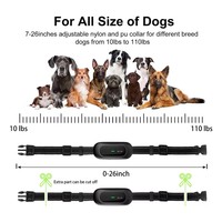 Collier de dressage pour chien fiable, télécommande rechargeable, collier de dressage pour chien en ABS pour deux chiens, entraînement à domicile et en extérieur