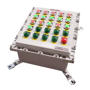 SAIPWELL Explosion Proof Box/Cabinet Ex Electrical Control Box with IEC\CE