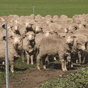 Sıcak satış çekme sabit düğüm geyik çit çelik alan çiftlik çiti sığır çit - Product Image 4