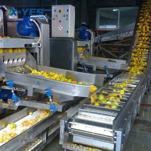 X-YES Sanitaire Band Transportband <span class=keywords><strong>Lifter</strong></span> Gespleten Helling Band Transportband - Product Image 4