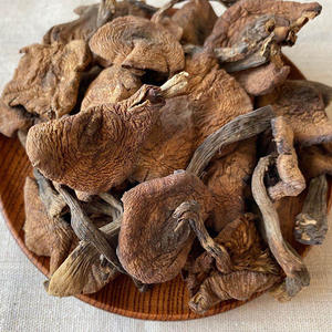 Origine Approvisionnement direct Miel sauvage Champignon Nord-Est Miel sauvage Champignon séché Armillaria mellea Ragoût de <span class=keywords><strong>champignons</strong></span> au <span class=keywords><strong>poulet</strong></span> - Product Image 5