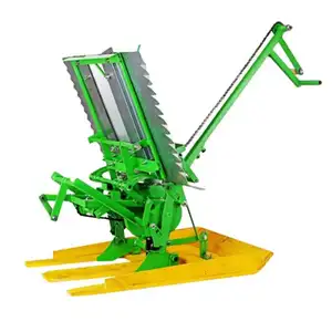 Mini repiquage de riz à 2 rangées, Machine manuelle de plantation de riz, prix