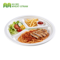 Assiette jetable en bagasse classique de 10 pouces à 3 compartiments, sans BPA, compostable, écologique, pour fêtes, traiteur, restaurant, vente en gros