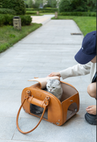 Sac de transport pour animaux de compagnie en cuir PU, respirant et imperméable, idéal pour les sorties quotidiennes – Meilleur prix
