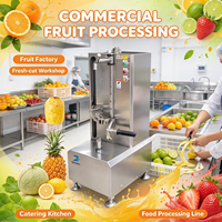 PS-Automatische 304 RVS Fruit- en Groenteschilmachine met Meerdere Messen voor Papaya, Pompoen, Ananas, Aardappel