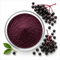 Europees Zwarte Vlierbessen Fruitextract Poeder 6% Anthocyanen HPLC  Bulk Grondstof