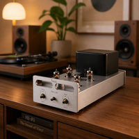 Préamplificateur à tubes professionnel MABLE MS-12B, amplificateur audio haute fidélité, modèle privé fabriqué dans le Guangdong