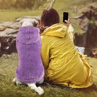 Pull en polaire doux et respirant pour petits chiens, avec capuche, chaud et confortable, pour toutes les saisons, vêtements pour animaux de compagnie