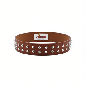 Collare per Cani in Vera Pelle con Borchie, Collari Premium per Animali Domestici - Product Image 1