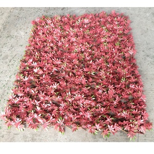Ignifuge Mur Vert Artificiel <span class=keywords><strong>Extensible</strong></span> Clôture En Treillis De Saule - Product Image 1