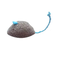 Jouet populaire en peluche pour chats, souris amusante et mignonne, écologique, cinq couleurs unies, avec herbe à chat, pour attraper et mâcher