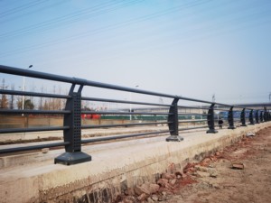 Hàng rào bảo vệ công viên thép không gỉ Riverside kim loại lan can hàng rào cách ly thành phố - Product Image 5