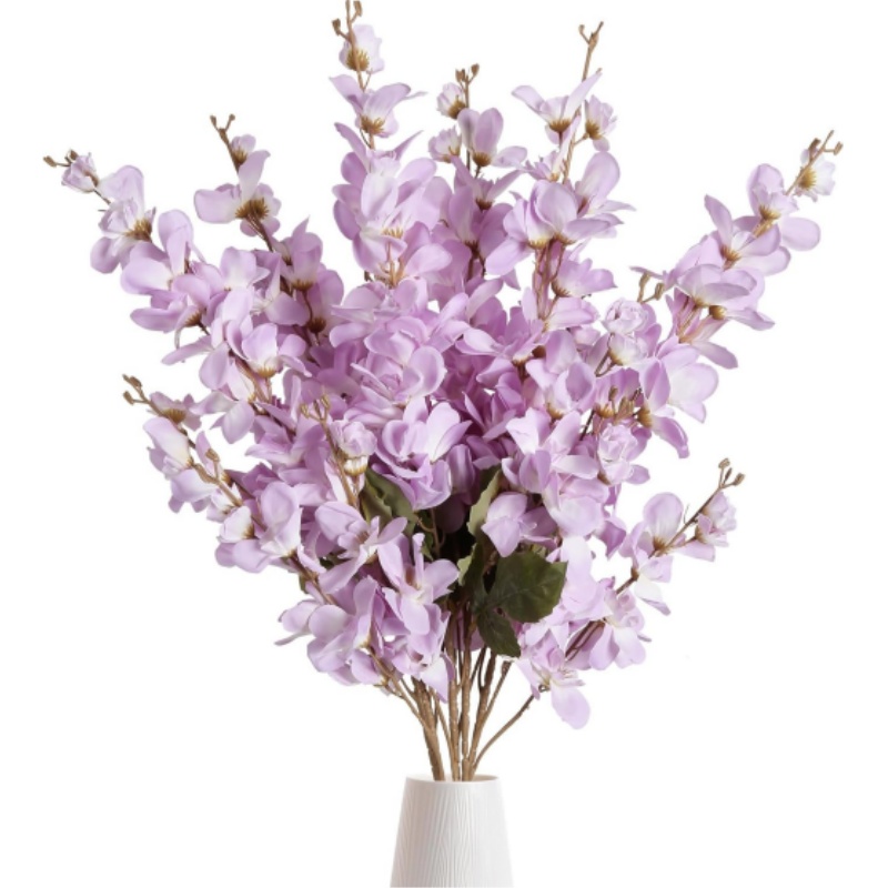 Viola