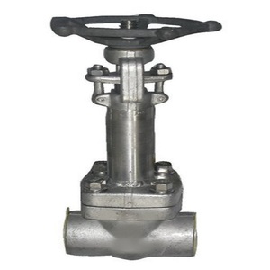 Válvula de Compuerta Criogénica ASME B16.10 para Plantas de Tratamiento de Agua, Alta Temperatura, Accionamiento Manual, Directo de Fábrica, OEM Personalizado para Gas - Product Image 1