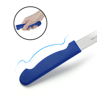 Ensemble de 3 couteaux à fruits en acier inoxydable avec manche en plastique écologique, couteau à éplucher multifonctionnel pour la cuisine, outil pour hacher les légumes