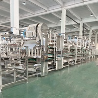 Ligne de production industrielle automatique à grande échelle, haute intelligence, haute efficacité, machine de production de tofu