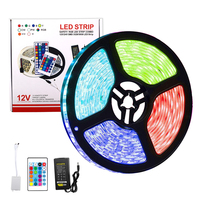 Bande LED Flexible SMD5050 à CRI Élevé - Rendu des Couleurs Précis pour Affichages Artistiques et Photographiques, Télécommande 12V 10M