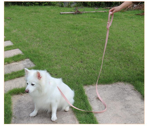 Collier pour <span class=keywords><strong>chien</strong></span> en PVC Doe Pet, rubans solides, laisse pour animaux de compagnie, design tendance, impression par transfert thermique, collier pour <span class=keywords><strong>chien</strong></span> personnalisé, imperméable - Product Image 6