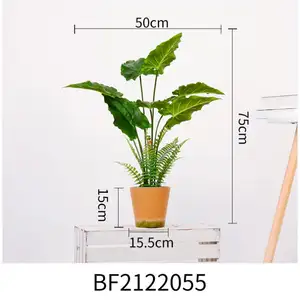 Alocasia Cucullata vendita in fabbrica Real Touch Faux Flower artificiale Bonsai decorazione vegetale