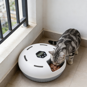 New Hot Sale Smart Automatic Plastic Eco-Friendly Wet Pet <strong>Feeder</strong> with <strong>Timer</strong> Fresh Keeping <strong>for</strong> Cats and <strong>Dogs</strong> - Product Image 5