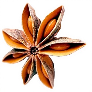 Anís estrellado AD premium de Vietnam, grado AA, cosecha de otoño, especias enteras de 2.5 cm de diámetro, alto contenido de aceite esencial, exportación a granel - Product Image 1
