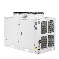 Unité de condensation frigorifique à haute capacité de refroidissement avec deux ventilateurs supérieurs pour application en chambre froide d'entrepôt